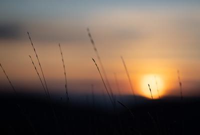 Retrouvez un sommeil de qualité pour mieux profiter du printemps