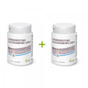 Lot promotionnel : 2 Chondroïtine - Glucosamine