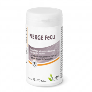 Nerge FeCu - Laboratoire LPEV