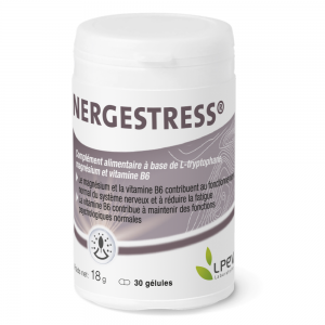 Nergestress - Laboratoire LPEV