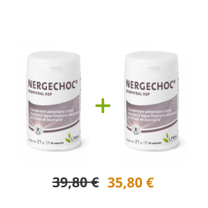 Lot promotionnel : 2 Nergechoc®