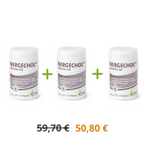 Lot promotionnel : 3 Nergechoc®