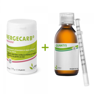 Pack gestion de la glycémie : Nergecarb® reducose et Quantis® 3/3 Gymnema