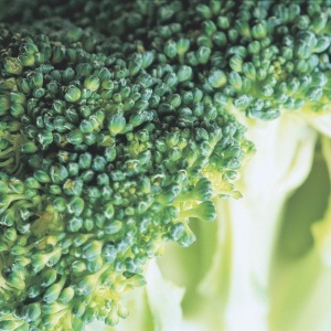 Photo brocoli, brassica oleracea