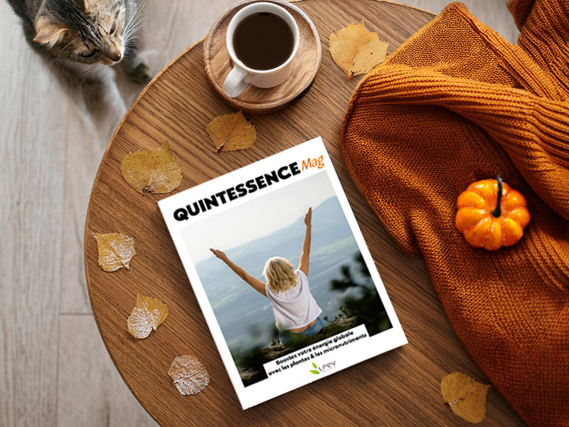Quintessence Rentrée - Boostez votre énergie globale !